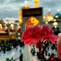 تور داخلی مشهد مقدس * قشم و کیش