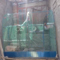 قفس گنبدی