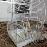 قفس پرنده