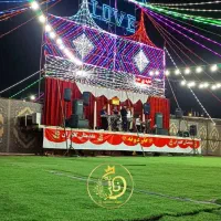 ریسه طرح دار (سرزمین ریسه)|ریسه و چراغ تزئینی|شیراز, فخرآباد (دروازه کازرون)|دیوار