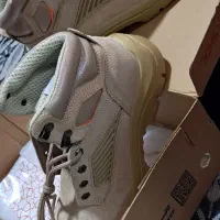 کفش ایمنی وکار|کیف، کفش، کمربند|دره شهر, |دیوار