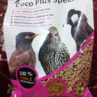 غذای مرغ مینا