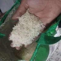 برنج کهنه هندی مفت|خوردنی و آشامیدنی|مشهد, حجت|دیوار