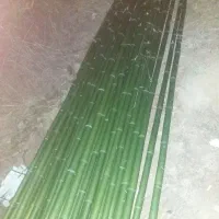 نی بامبو