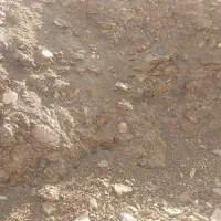 کود گوسفندی|گل و گیاه طبیعی|خمینی‌شهر, |دیوار