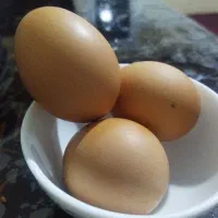 تخم مرغ محلی