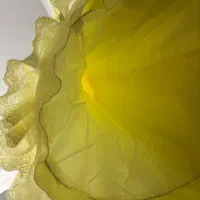 پیرهن عروس بچگانه لیمویی|لباس|اراک, |دیوار