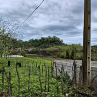 زمین ۴۵۰۰ متر سنددار کوهپایه جنگلی در لیسار