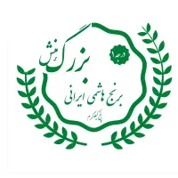 سئو فروش برنج
