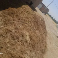 کود گوسفندی پشگل