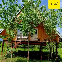 اجاره ویلا و کلبه در ماسال و شاندرمن|اجارهٔ کوتاه‌مدت ویلا و باغ|شاندرمن, |دیوار