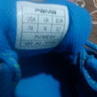 کفش نو تخفیف میدو|کیف، کفش، کمربند|کوهدشت, |دیوار