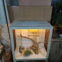 خونه پرنده|لوازم جانبی حیوانات|ارومیه, |دیوار