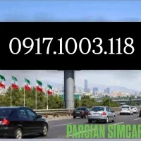 0917.1003.118