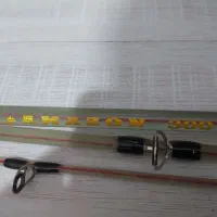 لنسر ماهیگیری