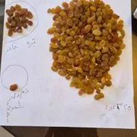 عمده کشمش پلویی طلایی و تیره|عمدهفروشی|اهواز, کمپلو شمالی|دیوار