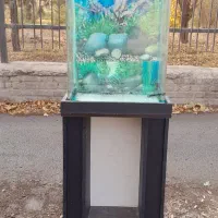 آکواریوم شرکتی