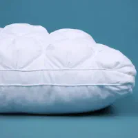 تولید کننده محافظ-تشک