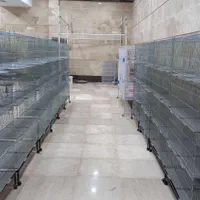 قفس هشت خان جوجه پرون پران قناری عروس هلندی فنچ