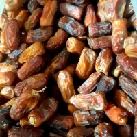 خرمای پیارم|خوردنی و آشامیدنی|شیراز, باغ تخت|دیوار