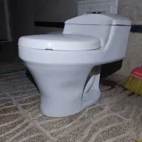 توالت فرنگی چینی درجه یک گلسار