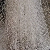 سالیگ برای ماهیگیری