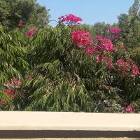 اجاره مغازه