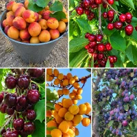 میخوای 35 درصد بیشتر برداشت کنی