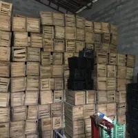 جعبه میوه چوبی درجه یک به قیمت عمده|عمدهفروشی|چالوس, |دیوار