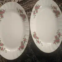 دیس زرین گلسرخ اصل