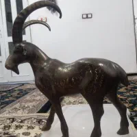 مجسمه بز کوهی تزئینی|مجسمه، تندیس، ماکت|بوکان, |دیوار