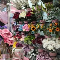 نیرو نگهبان برای گلفروشی