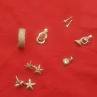 گوشواره نقره وپلاک نقره نونو