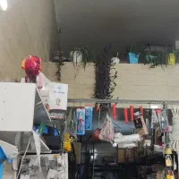 مغازه74 متری با بالکن اختصاصی 24 متری|فروش مغازه و غرفه|محمدشهر, کوی بهار|دیوار