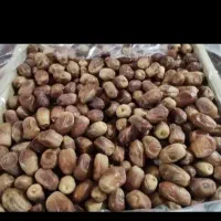 فروش خرما زاهدی