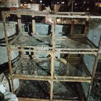 قفس جفتگاه