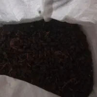 کشمش فلم آمریکایی شیره انگور