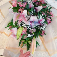 نیازمند ادمین حرفه ای حضوری