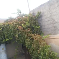 خانه-نیاز-به-بازسازی
