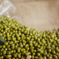 ماش و کاه ماش چرام