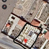 باغ-لب-جاده-اصلی-اسفالت