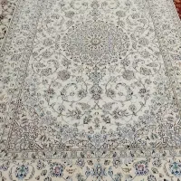 مشاوره فروش انواع فرش دستباف هر متری|فرش|بجنورد, |دیوار