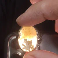 انگشتر شجر کهنه