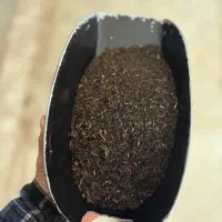 چای شکسته دو کد 205