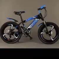 وینر دوچرخ فنونی20