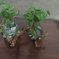 گلدان دکوری|گل و گیاه طبیعی|مشهد, شهرک مطهری|دیوار