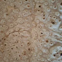 ب یک فروشنده نان