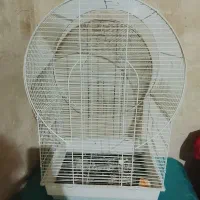 قفس بزرگ برایه عروس و|لوازم جانبی حیوانات|آبدانان, |دیوار