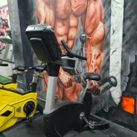 دوچرخه باشگاهی|تجهیزات ورزشی|فولادشهر, C4|دیوار