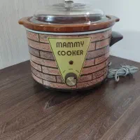 آرامپزبرقی